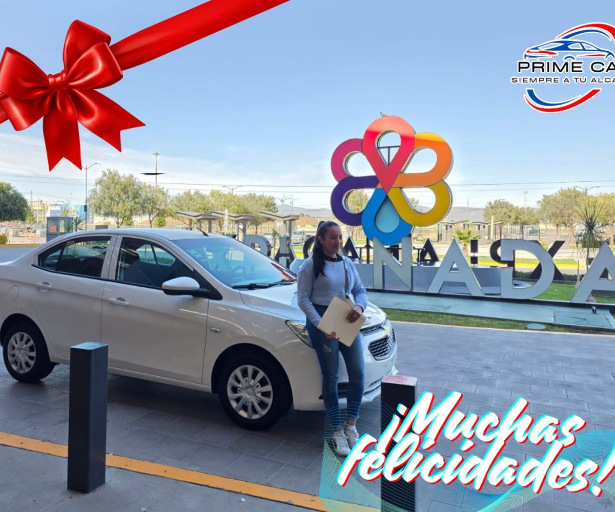 WhatsApp Image 2026-01-31 at 12.24.23